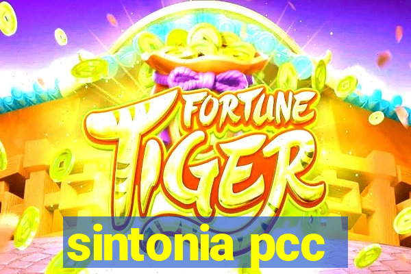 sintonia pcc